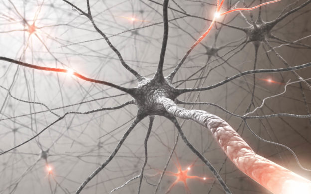 Foto ilustrativa de um neurônio